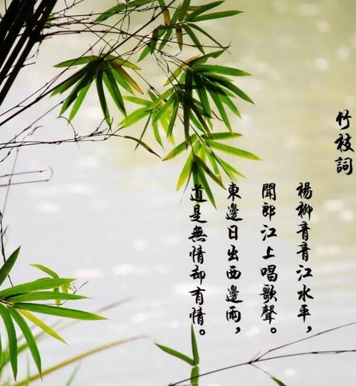 竹枝词诗词