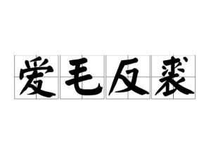 爱毛反裘是什么意思解释，爱毛反裘打一生肖
