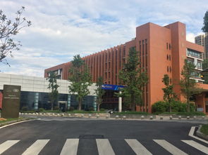 长沙有哪些专科学校有学前教育，长沙有哪些专科学校招老师
