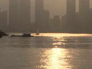 孤帆远影碧空尽的意思下一句是什么，孤帆远影碧空尽意思是什么数字