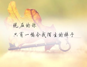 我的离开也是爱歌词许廷铿，我的离开也是爱吉他谱