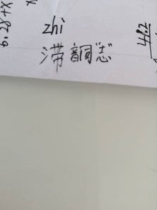 三点水一个带是什么字，三点水一个带字是什么字