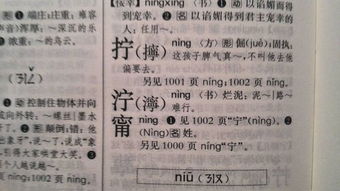 泞可以组什么词昵，泞可以组什么词语二年级