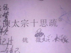 谏太宗十思疏原文及翻译拼音，谏太宗十思疏原文及翻译手写图片