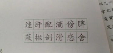 翼的组词和拼音部首，翼的组词和拼音还有部首