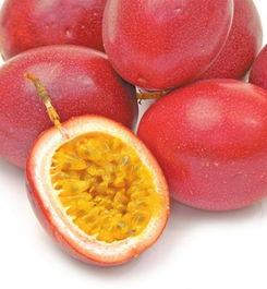 passionfruit是什么意思