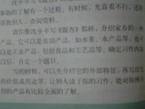 作文450字暑假生活，作文450字以上