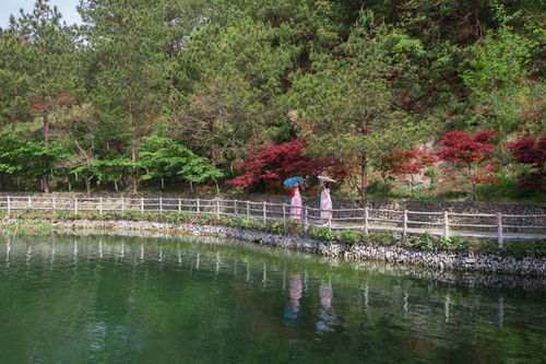 木本()源的成语