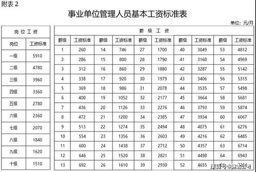 中国事业单位级别划分，事业单位级别划分27级
