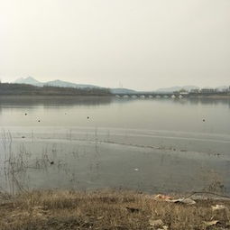 南海东风水库可以钓鱼不