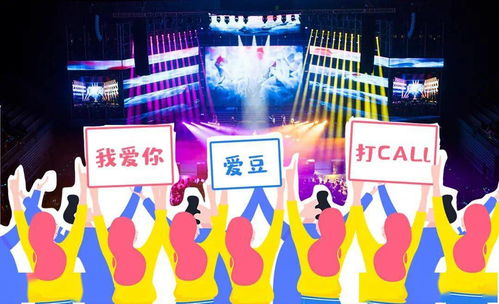 粉丝文化是什么意思，粉丝文化研究