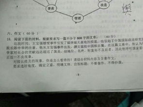 等待作文800字议论文，等待作文800字初中