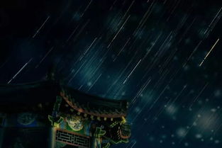 星雨交易平台，星雨strrain
