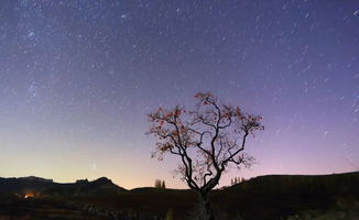星雨网名怎么加才好看