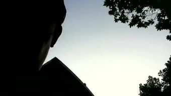 喀什葛尔胡杨是李宗盛写的吗，喀什葛尔胡杨 刀郎在线听