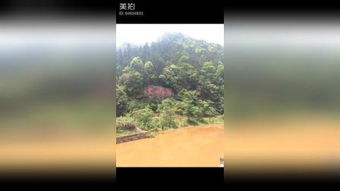 歌曲《天梯》的真实背景