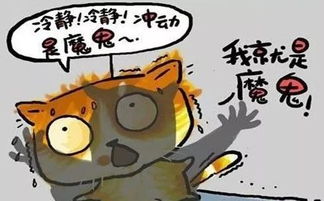 祸不单行是指什么生肖，祸不单行分析超梦体验