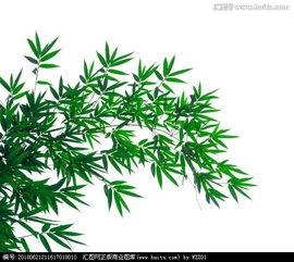 竹枝词 刘禹锡翻译，竹枝词唐刘禹锡古诗
