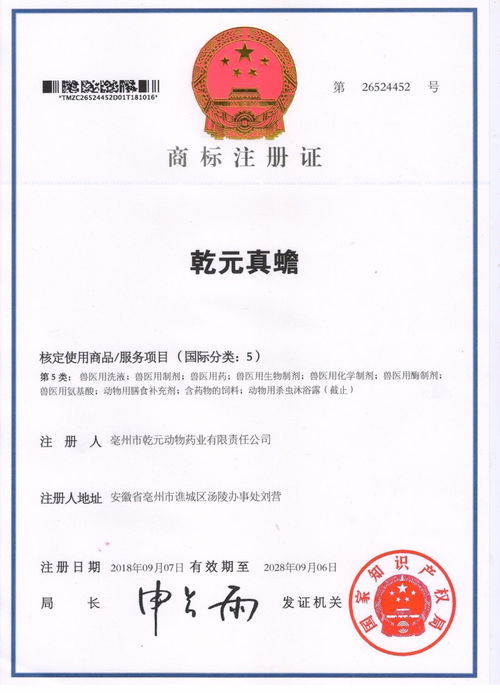 “方”的组词有哪些?