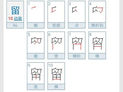 留字笔顺怎么写的，留字笔顺怎么写字