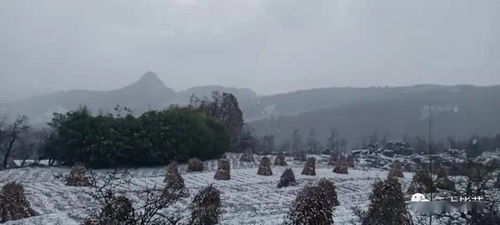 大方旅行社官网，大方广佛华严经