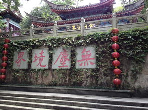 我在广州成团,请问羊城之旅跟康辉哪个旅行社好?谢谢!!!