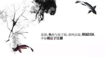 相濡以沫的真正意思是什么，相濡以沫的真正意思爱屋及乌