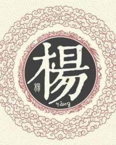 杨姓的起源