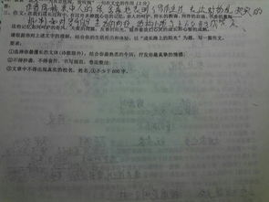 以路为话题的优秀作文4篇