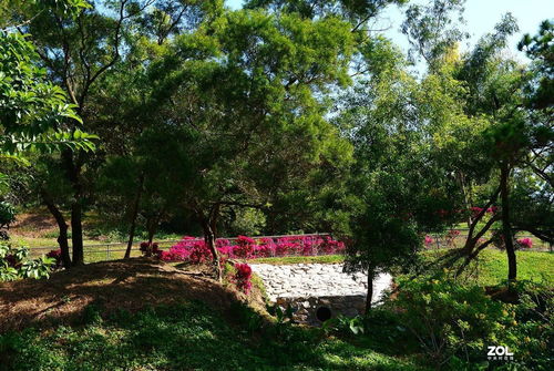 香山湖公园景点介绍