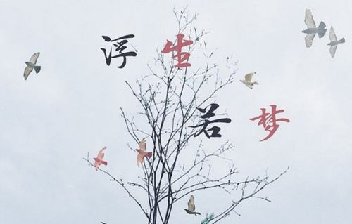 浮生若梦什么意思?