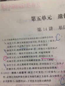 正反交的目的，正反交实验的作用
