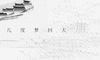 梦回唐朝歌词里面的诗，梦回唐朝歌词表达内涵