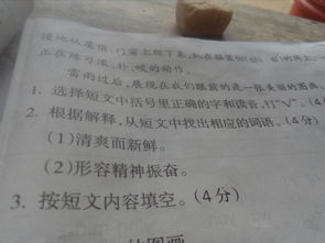 鲜四字成语有哪些