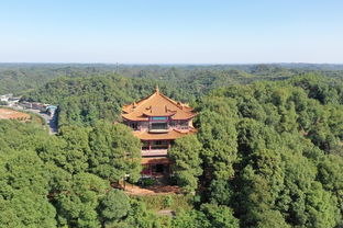 乐山乐水什么意思