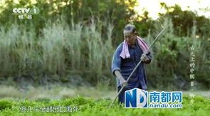 老叟的读音，老叟与老翁的区别