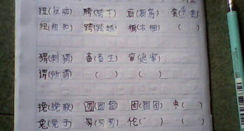 徊的形近字组词拼音，徊的形近字组词是什么