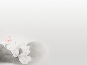 淡雅女星是谁?，淡雅的意思