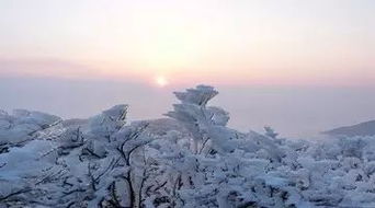 燕上雪花大如席,纷纷吹落轩辕的出处