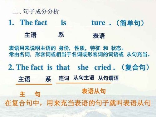 表语有哪些
