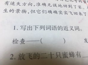 检查的近义词有哪些词语，仔细的近义词