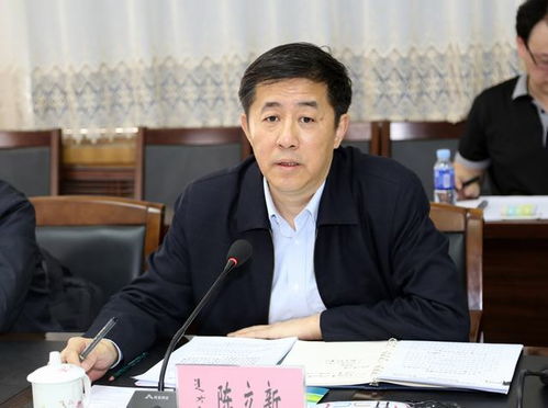 陈立新简历，陈立新董事长