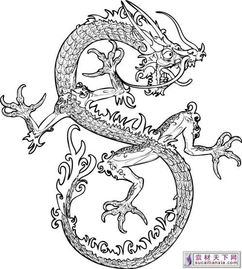 一条龙的图画，龙的图画儿童画