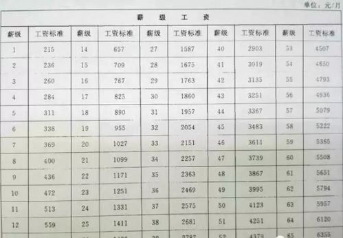 事业单位分几级