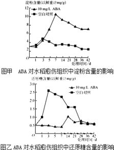 植物激素脱落酸的作用，脱落酸的作用与功效