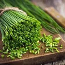 韭菜的英文是leek吗