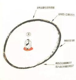 不可分割是成语吗，不可分割的领土