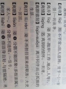 伟岸是什么意思?