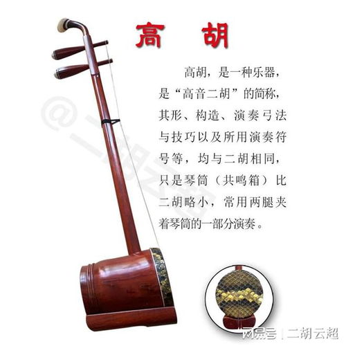 高胡入门指法视频，高胡调音器