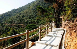 北岭山森林公园在哪儿